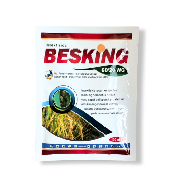 BESKING 60/20WG